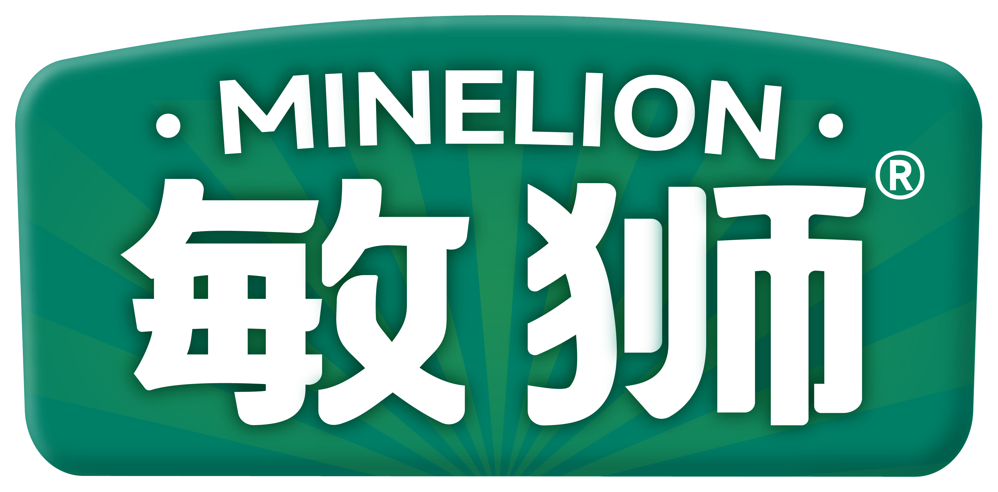 敏狮招商